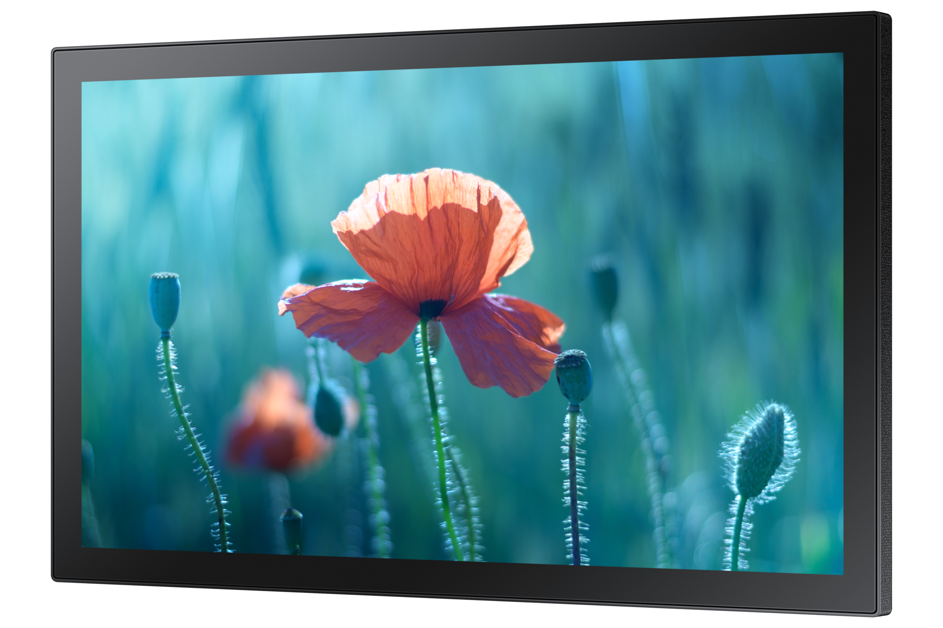 QBR-T 13" Full HD Interactive Display