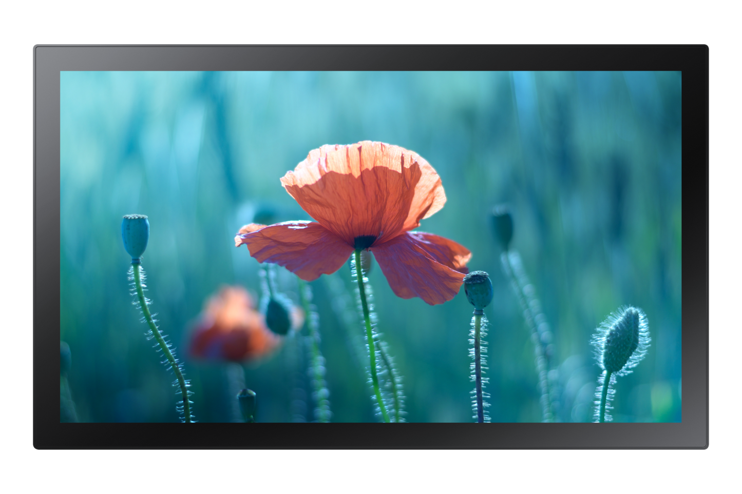 QBR-T 13" Full HD Interactive Display