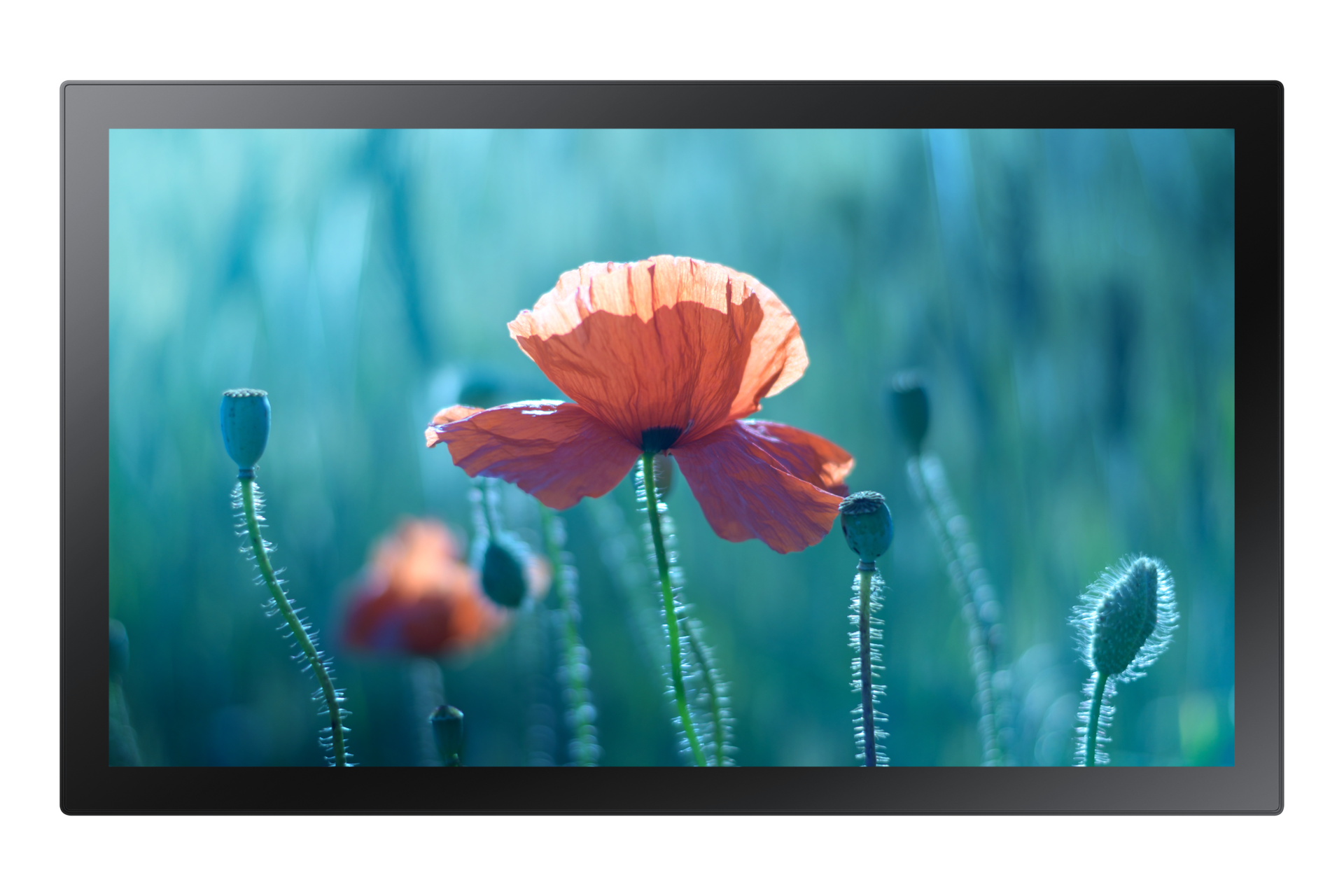 QBR-T 13" Full HD Interactive Display